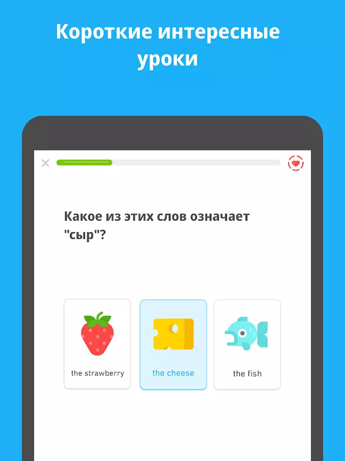 Duolingo, изображение №3
