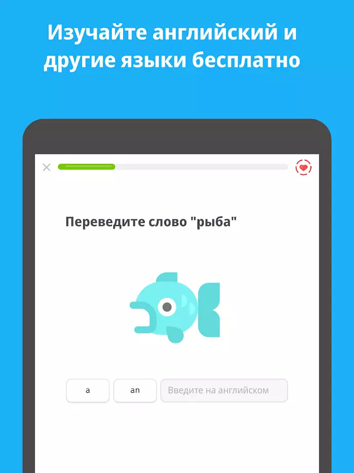 Duolingo, изображение №2
