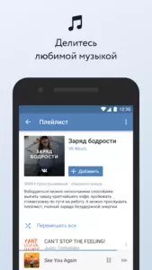 ВКонтакте, изображение №2