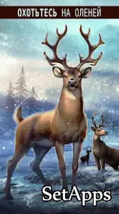 Deer Hunter 2018, изображение №4