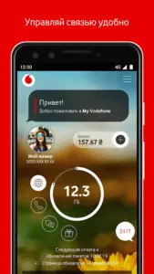 My Vodafone, изображение №3
